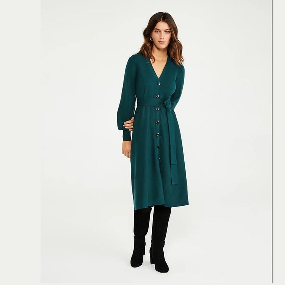 Ann Taylor Emerald Button Front Long Peplum Sleeve Sweater Mid Midi Length Dress - Picture 1 of 5